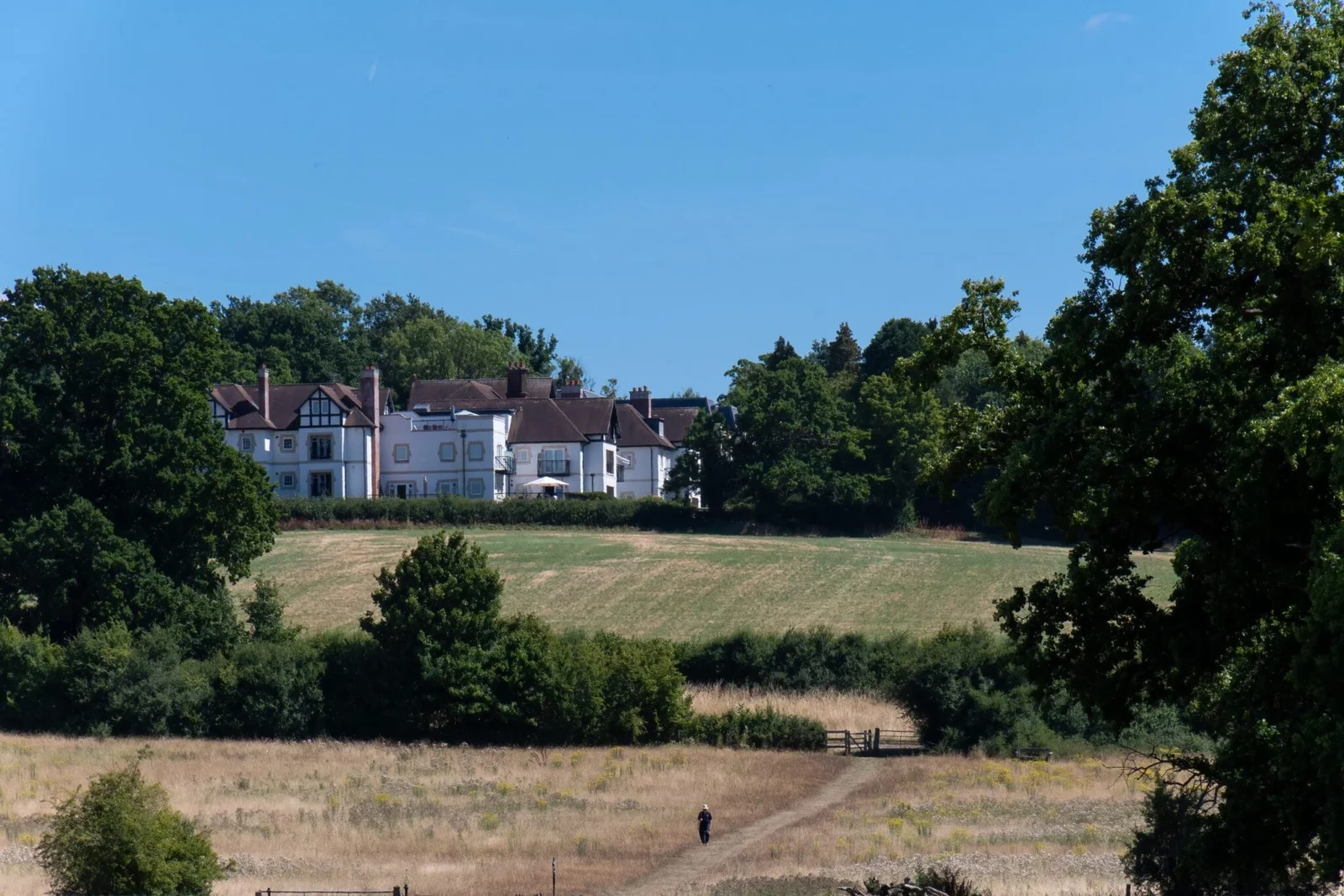 Bushey-2-scaled-1-min-2048x1366